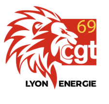 Logo en forme de tête de lion du Syndicat Lyonnais de l'Energie CGT et UFICT CGT (SLE)